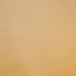 Trombone Contemporary/Glam Floor Lamp With Metal And Glass Shelf Gold (Includes LED Light Bulb) - LumiSource 21 Trombone Contemporary/Glam Floor Lamp With Metal And Glass Shelf Gold (Includes LED Light Bulb) - LumiSource -Home Decor Store GUEST 1e0cc610 891c 49f6 bf16 c66ede703fb5