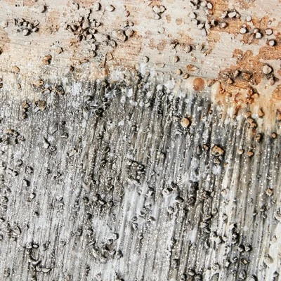 (Set Of 3) 15" X 35" Twilight Mystere Hand Brush Embellished Canvas Blush/Grey 6 (Set Of 3) 15" X 35" Twilight Mystere Hand Brush Embellished Canvas Blush/Grey - Image 4