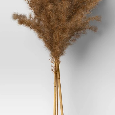 Pampas Grass Bundle - Threshold™ 5 Pampas Grass Bundle - Threshold™ - Image 3