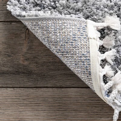 NuLOOM Transitional Regina Shag Area Rug 8 NuLOOM Transitional Regina Shag Area Rug - Image 6