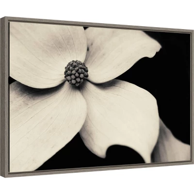 23" X 16" Dogwood Flower By Gary Horsfall Framed Canvas Wall Art - Amanti Art 3 23" X 16" Dogwood Flower By Gary Horsfall Framed Canvas Wall Art - Amanti Art