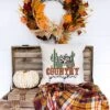 City Creek Prints Country Pumpkin Cactus Canvas Pillow Cover - Natural -Home Decor Store GUEST 3df58cbb 7951 4b8c b80b cececdcd82b1