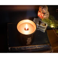 Ukonic Harry Potter Dark Arts Premium Scented Soy Wax Candle -Home Decor Store GUEST 411ab146 4983 4d63 abbb 98ce34b06345