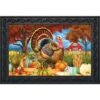 Turkey And Pumpkins Fall Doormat Thanksgiving Farm Autumn 30" X 18" Briarwood Lane -Home Decor Store GUEST 4b640d9d 87f6 4c35 b623 71ea013eec60