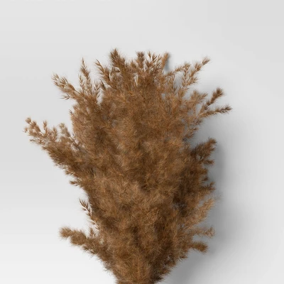 Pampas Grass Bundle - Threshold™ 4 Pampas Grass Bundle - Threshold™ - Image 2