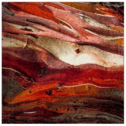 Calabasas Abstract Loomed Area Rug - Safavieh 25 Calabasas Abstract Loomed Area Rug - Safavieh -Home Decor Store GUEST 51b69280 2dda 4fb6 b4f0 fe4b4c5cde9c