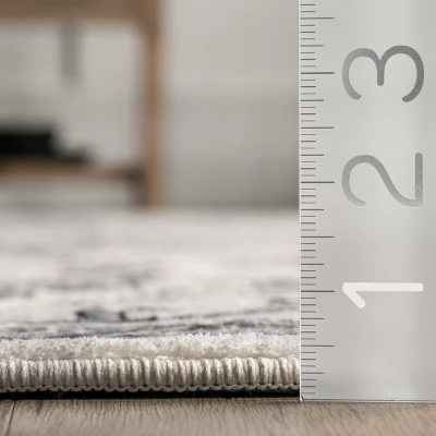 NuLOOM Parisa Vintage Medallion Bordered Area Rug 4 NuLOOM Parisa Vintage Medallion Bordered Area Rug - Image 2