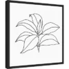 16" X 16" Foliage Contour III By Annie Warren Framed Canvas Wall Art - Amanti Art -Home Decor Store GUEST 74045358 a599 4443 8d34 beea7049dd15