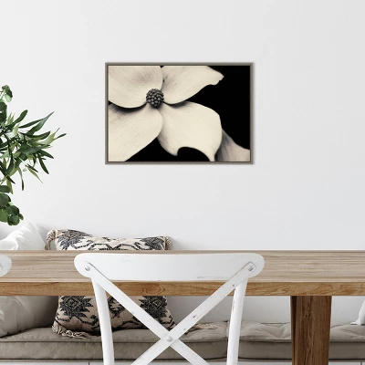 23" X 16" Dogwood Flower By Gary Horsfall Framed Canvas Wall Art - Amanti Art 5 23" X 16" Dogwood Flower By Gary Horsfall Framed Canvas Wall Art - Amanti Art - Image 3