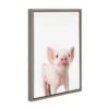 18" X 24" Sylvie Young Pig Framed Canvas Wall Art By Amy Peterson Gray - Kate And Laurel
