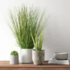 25" X 15" Artificial Onion Grass Arrangement In Ceramic Pot - Threshold™ -Home Decor Store GUEST 9780783e 14a4 48cf 8351 1567c24a520e