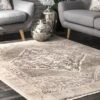 NuLOOM Vintage Cassie Fringe Area Rug