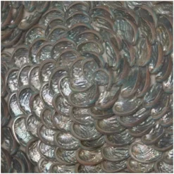 Acrylic Shell Handmade 3D Layered Shadow Box With Iridescent Finish Brown - Olivia & May 10 Acrylic Shell Handmade 3D Layered Shadow Box With Iridescent Finish Brown - Olivia & May -Home Decor Store GUEST d039e9a4 a877 424c 8c16 de2072dcb5f0