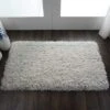 Nourison Ultra Plush Shag Solid Indoor Area Rug