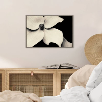 23" X 16" Dogwood Flower By Gary Horsfall Framed Canvas Wall Art - Amanti Art 8 23" X 16" Dogwood Flower By Gary Horsfall Framed Canvas Wall Art - Amanti Art - Image 6